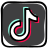 TikTok Icon